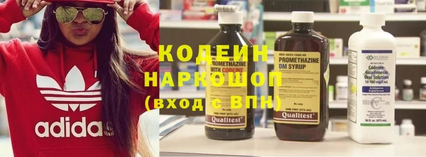 гашик Богданович