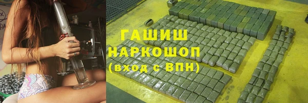 гашик Богданович